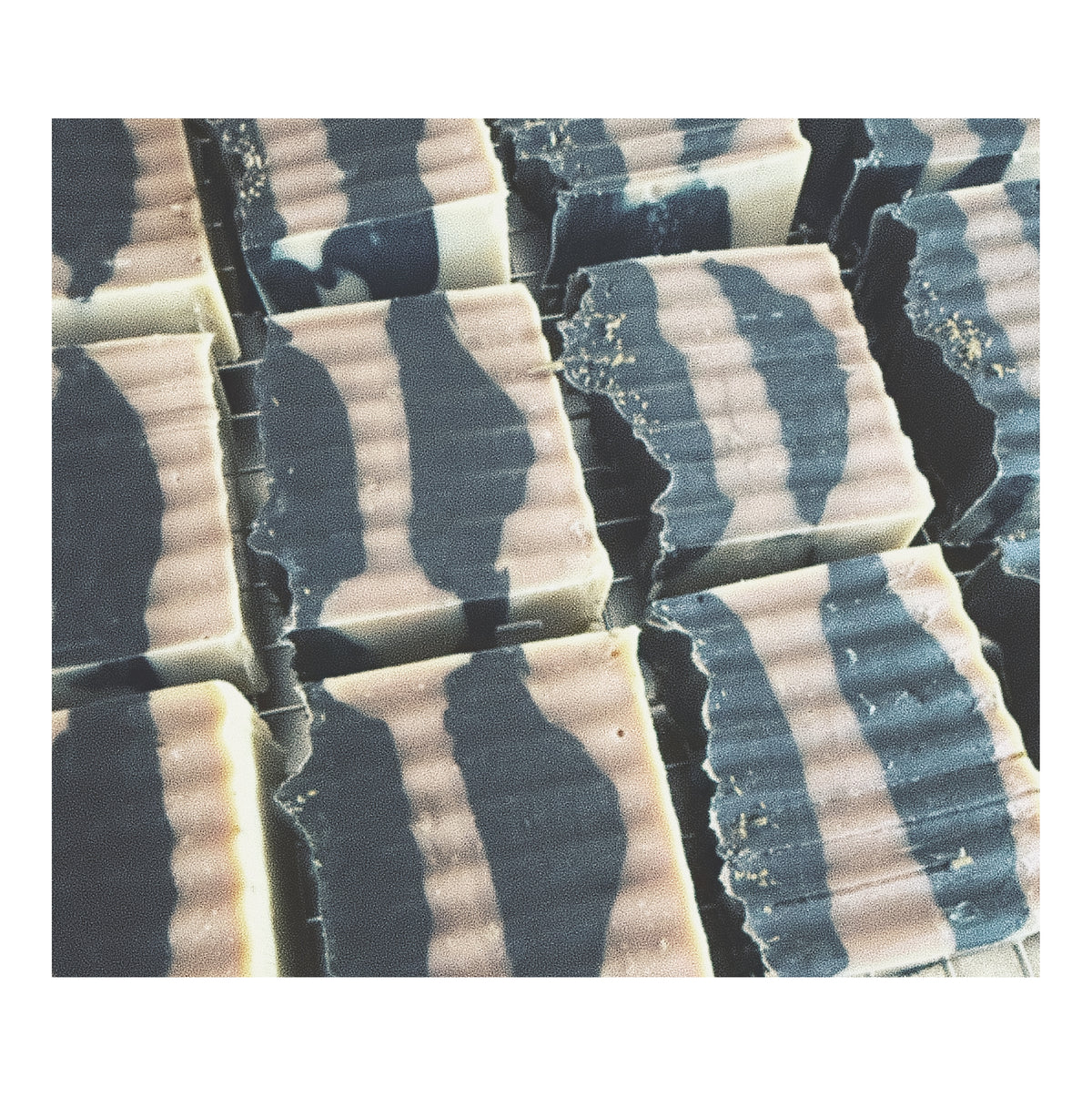 tallow & tea soap (midnight mint)
